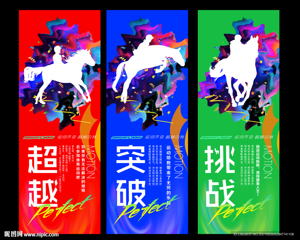 马术