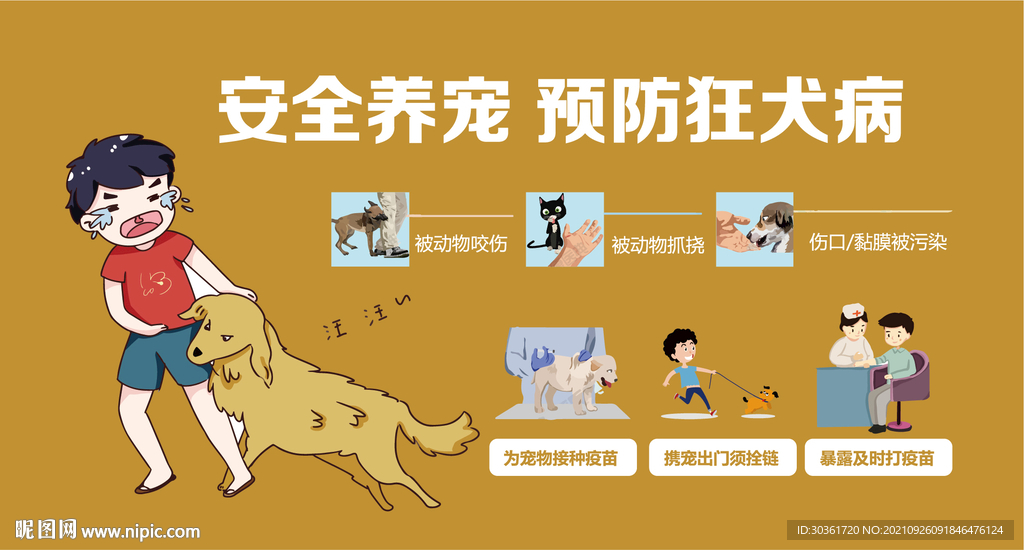 安全养宠 预防狂犬病