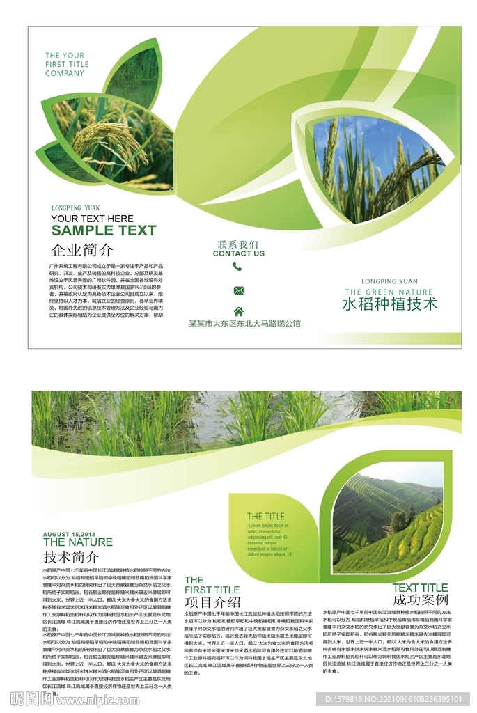 水稻种植宣传