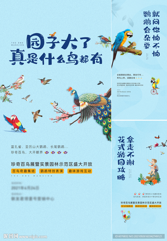 鹦鹉 鸟
