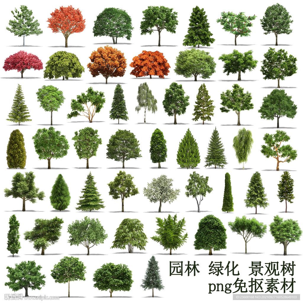 景观树素材