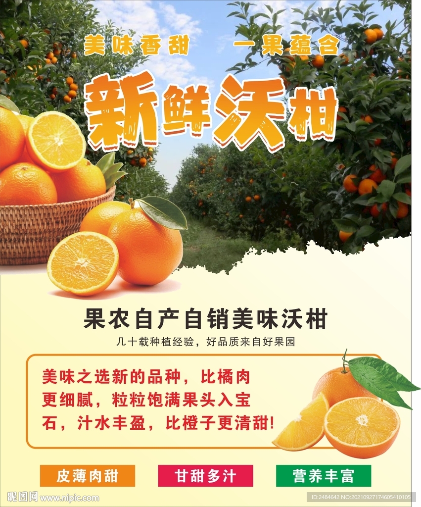 沃柑海报   采摘