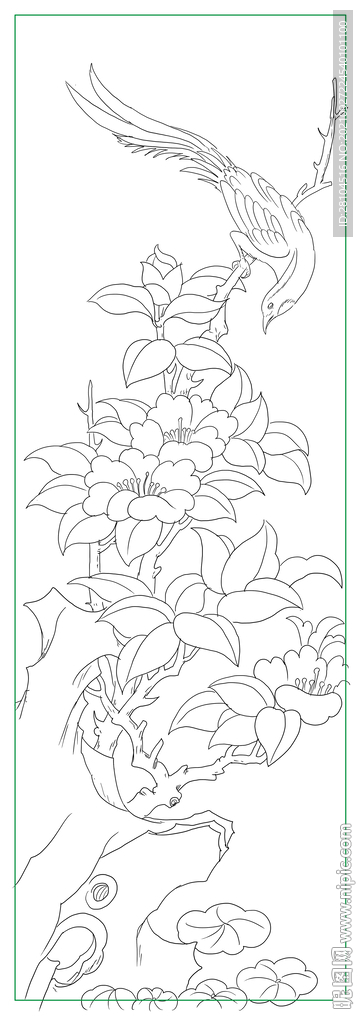 花鸟图