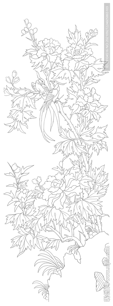 花鸟