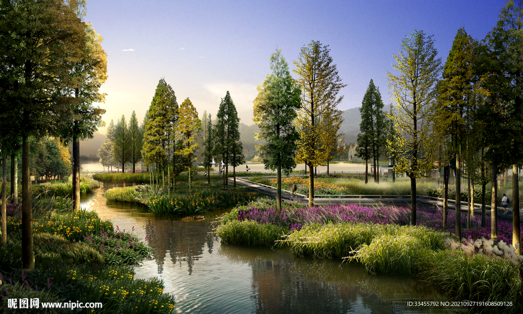 湿地景观效果图