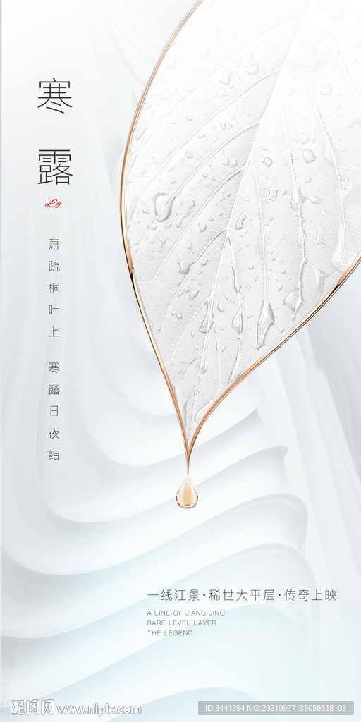 寒露 树叶 水滴 底纹 高端