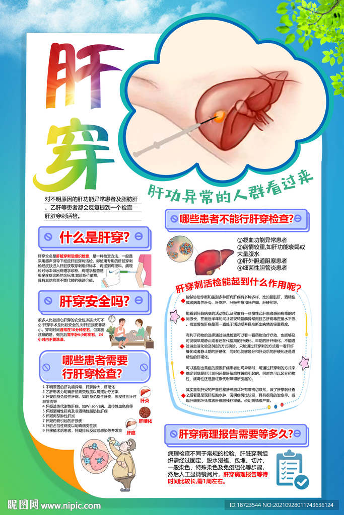肝穿