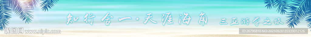 沙滩椰树