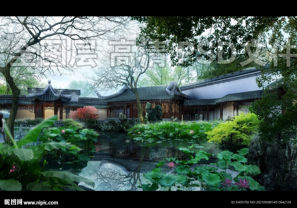 古建荷花塘雨景