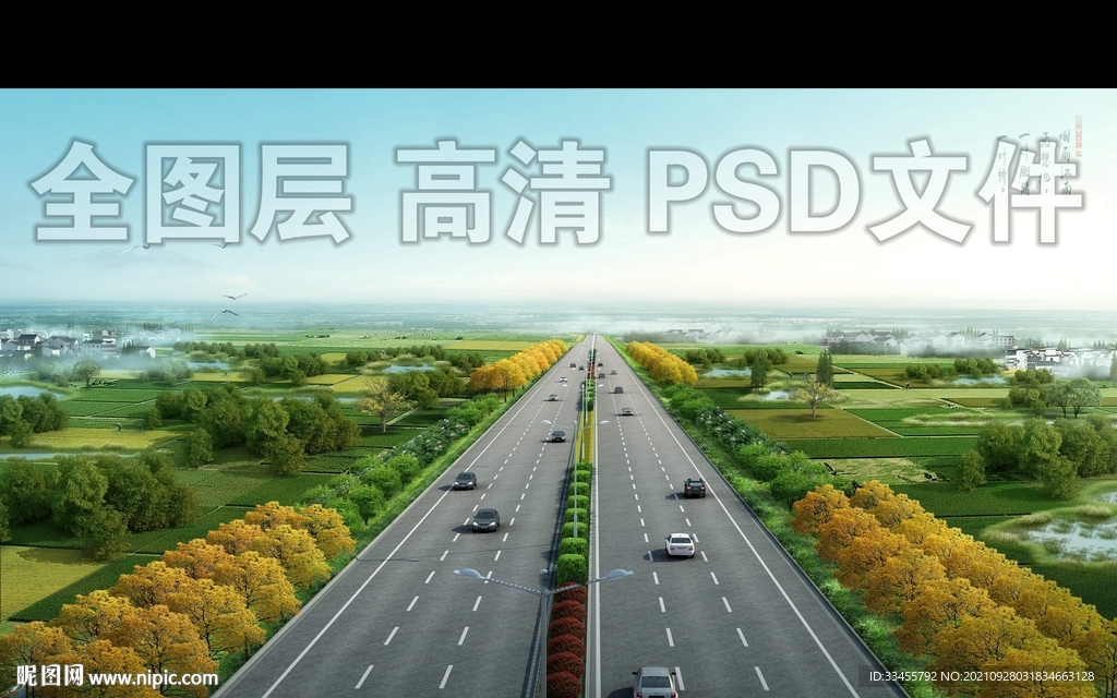 道路绿化