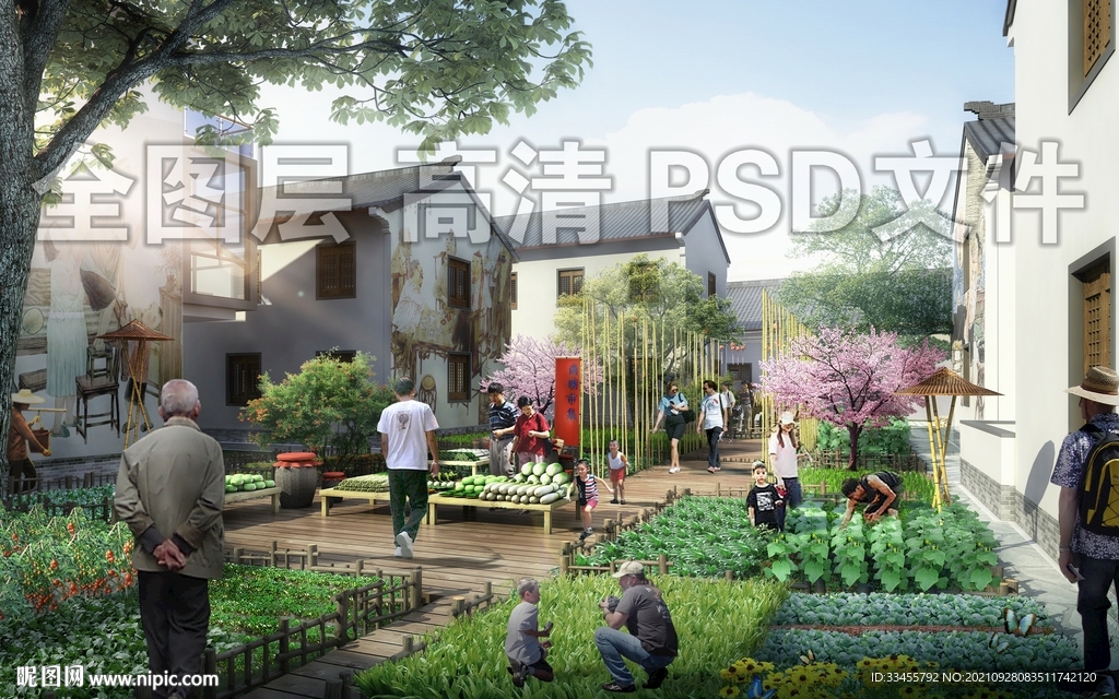 菜地市场田地