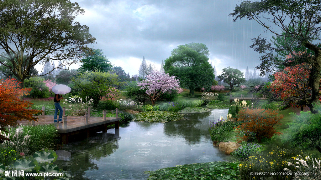 湿地雨景