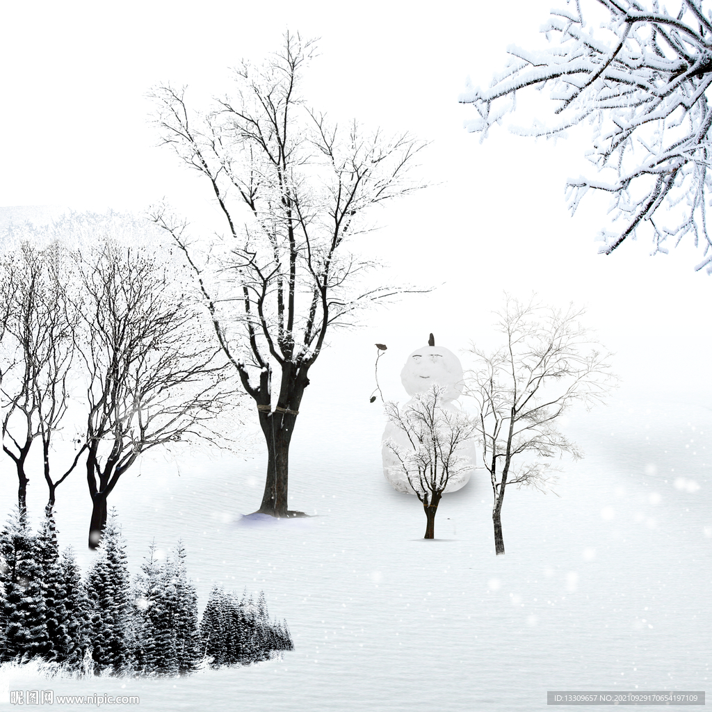 雪景