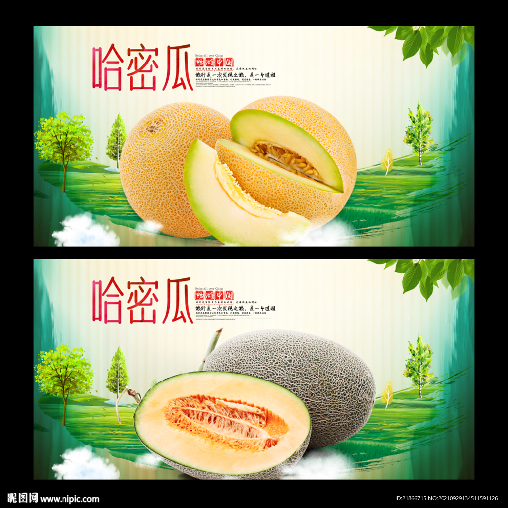 哈密瓜