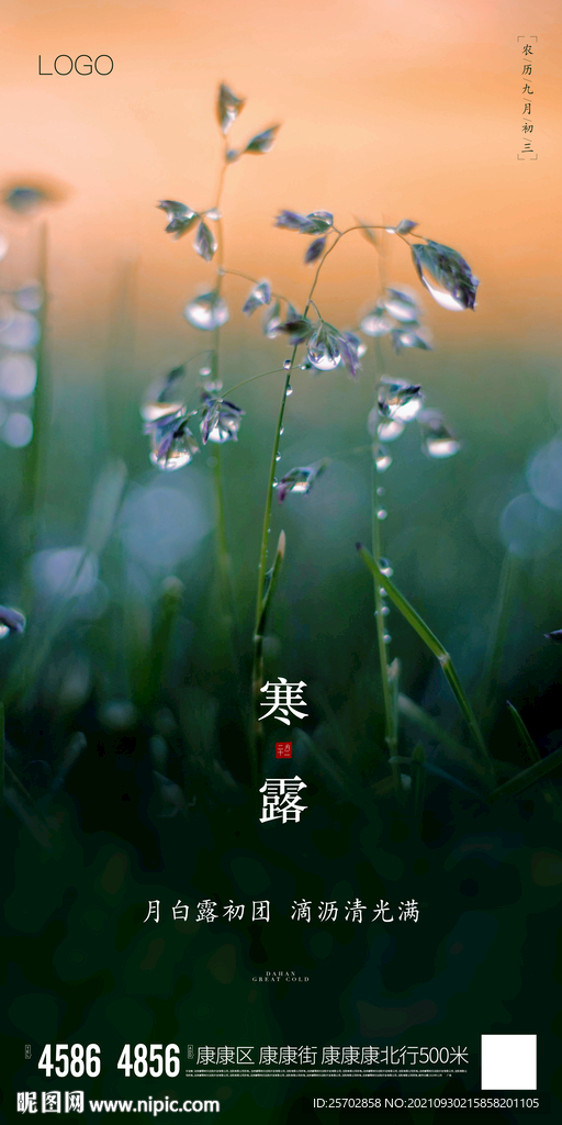 寒露
