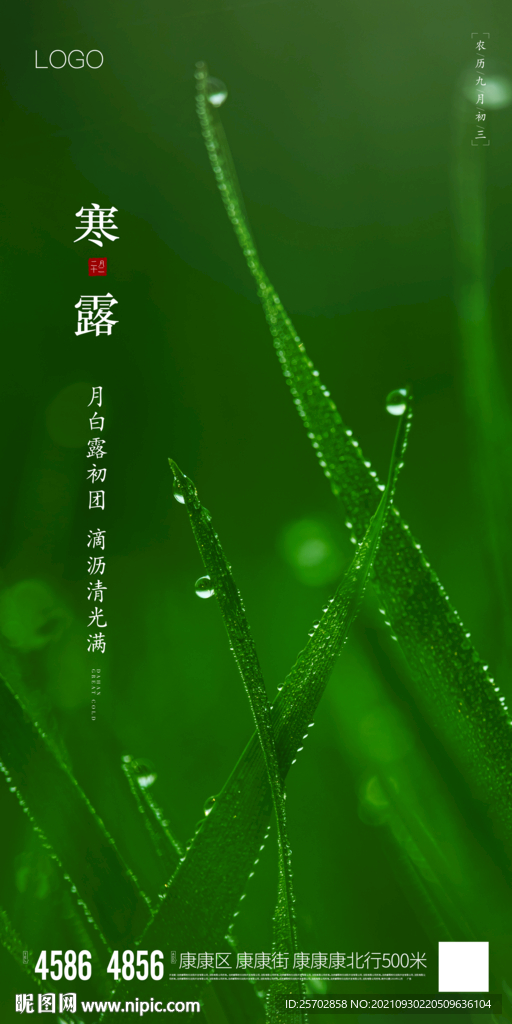 寒露
