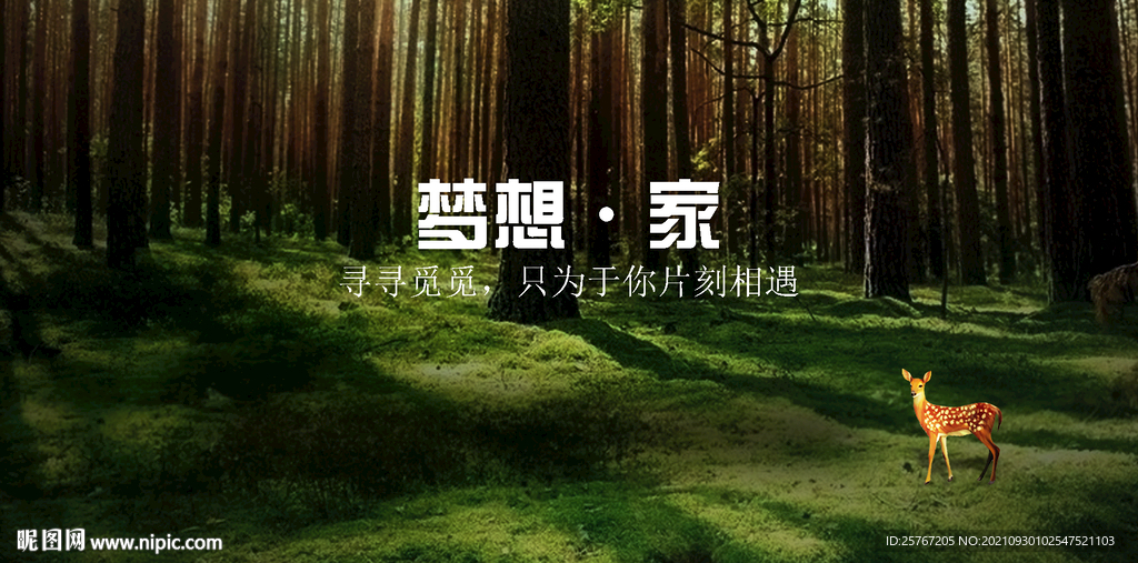 森林树林绿色海报背景原生态