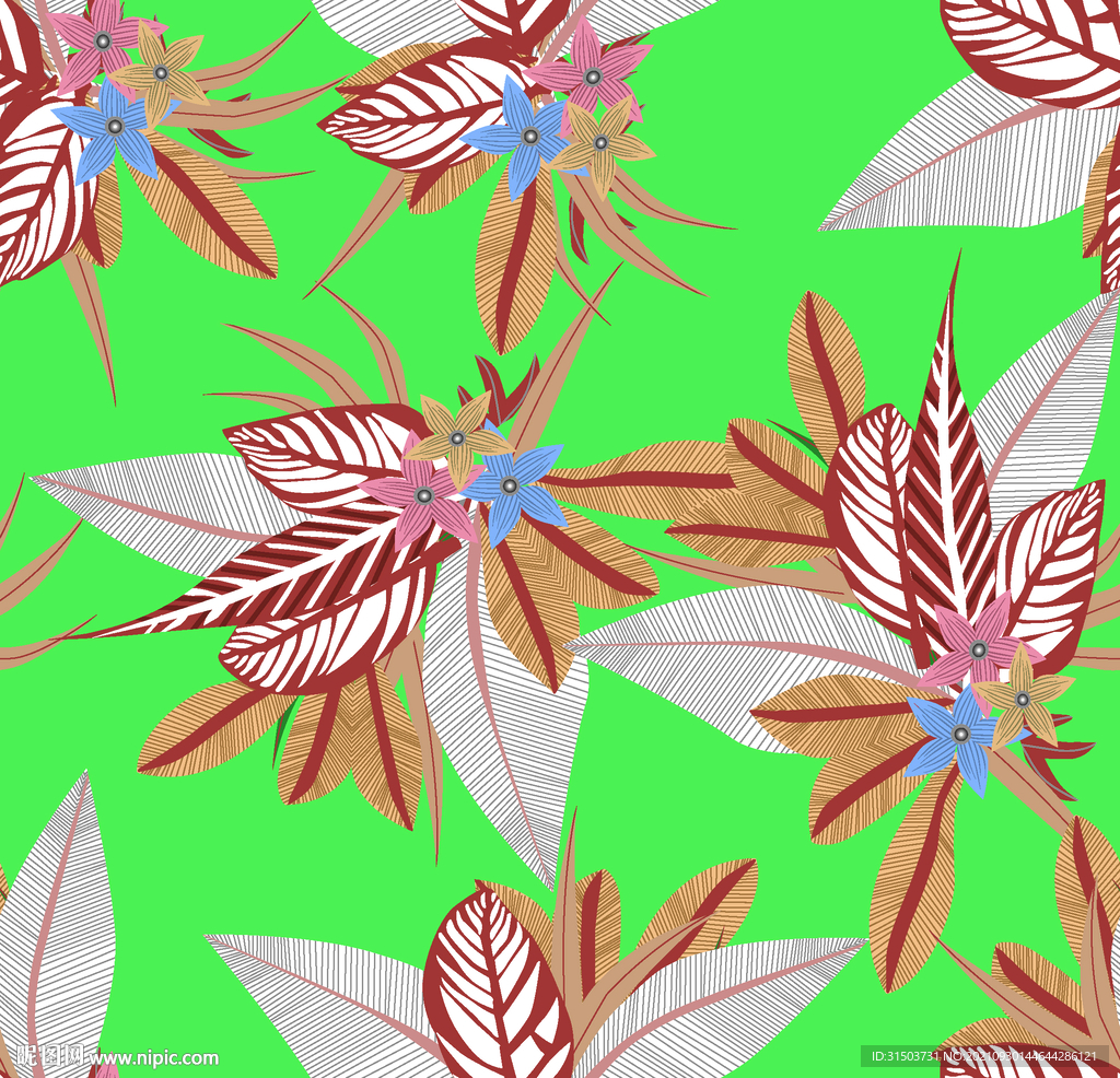 热带花