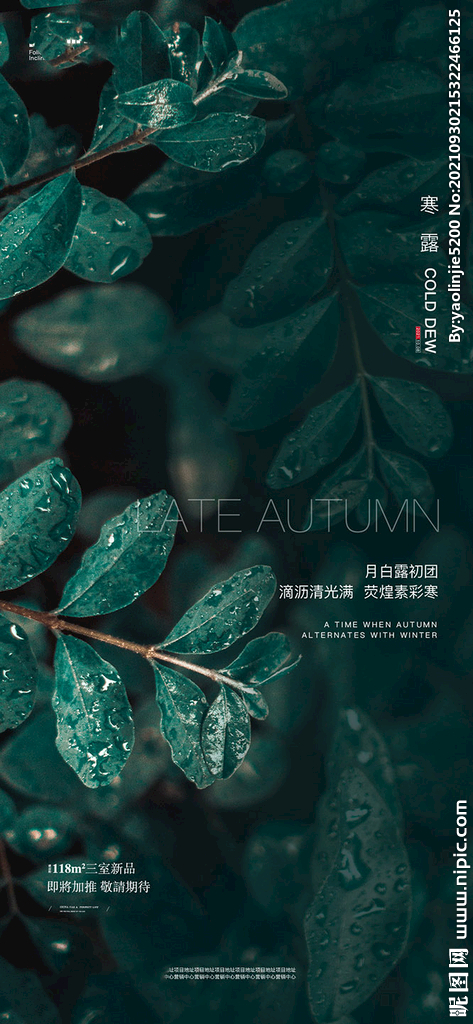 地产寒露海报