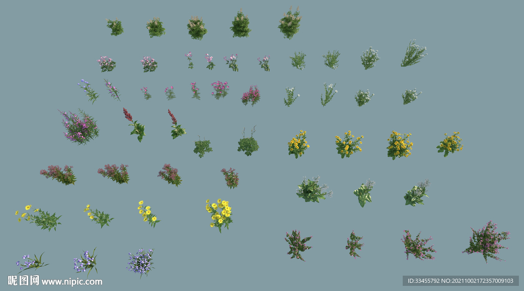 各种花卉单棵素材