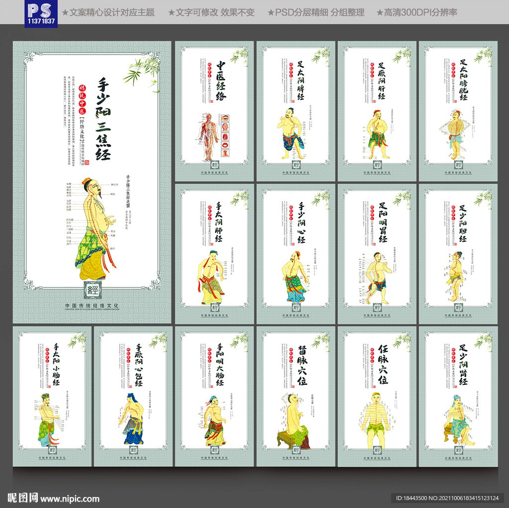中医经络