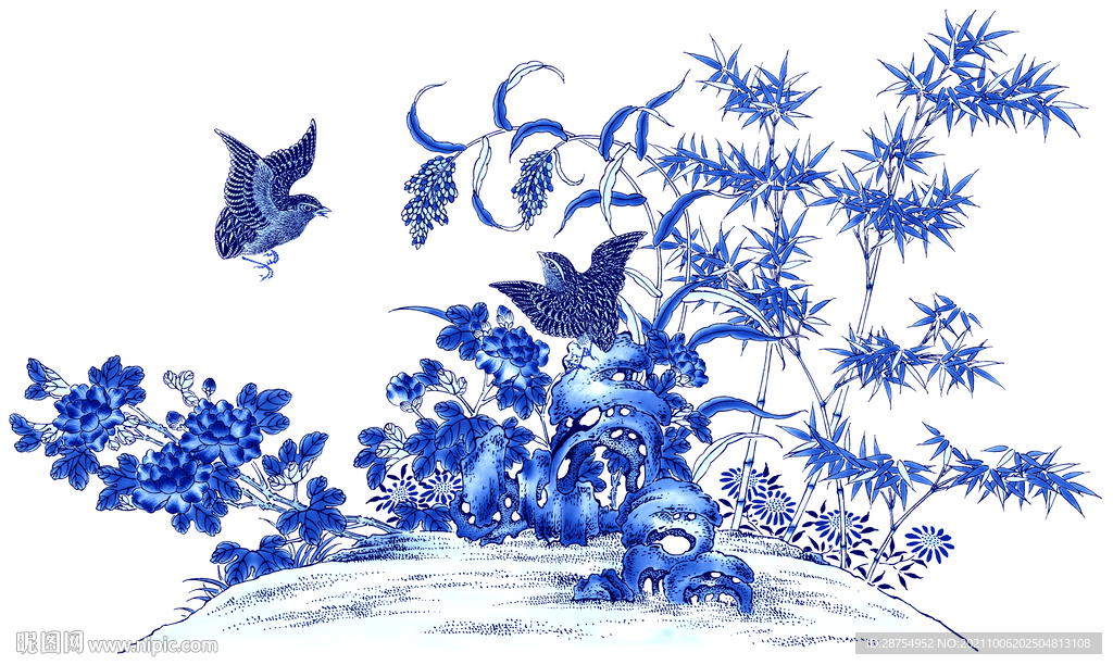 花鸟插画