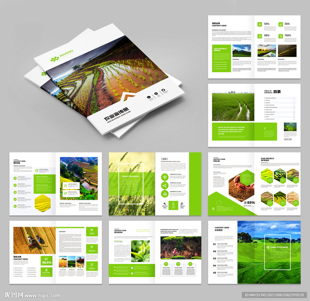 农业画册 农产品宣传册