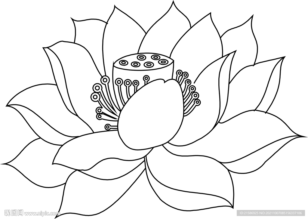 矢量图莲花