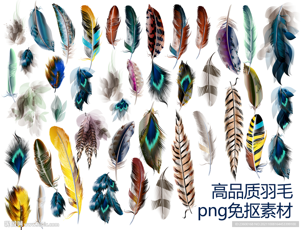 高品质羽毛