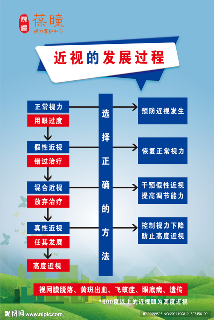 视力发展过程