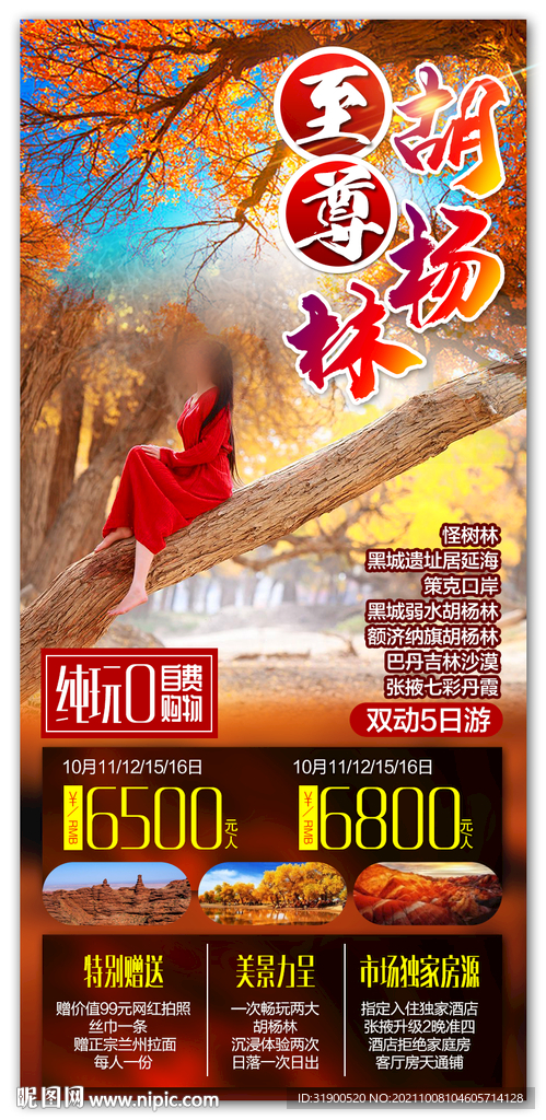 胡杨林
