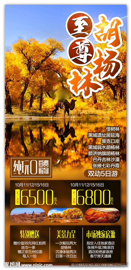 胡杨林