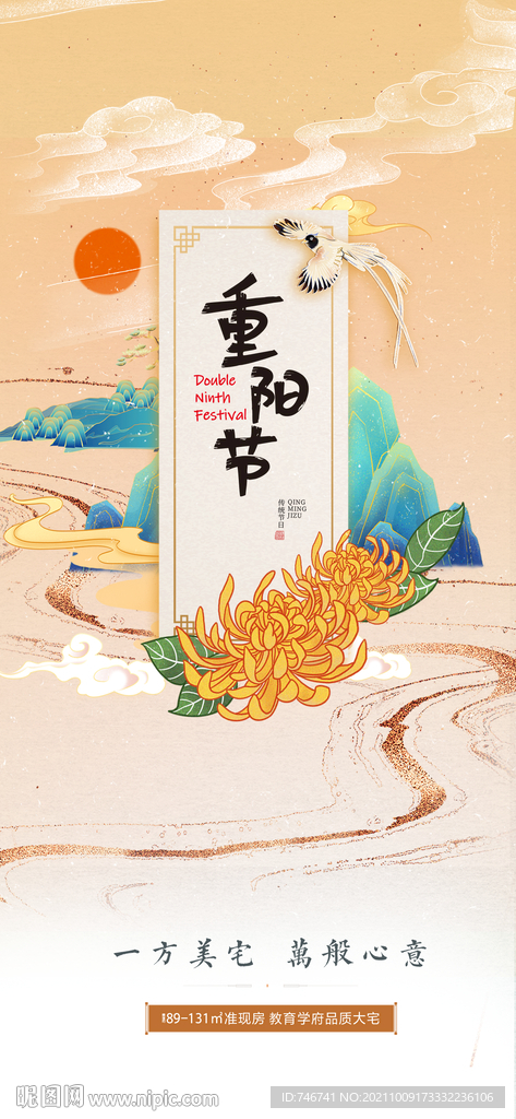 菊花 重阳节