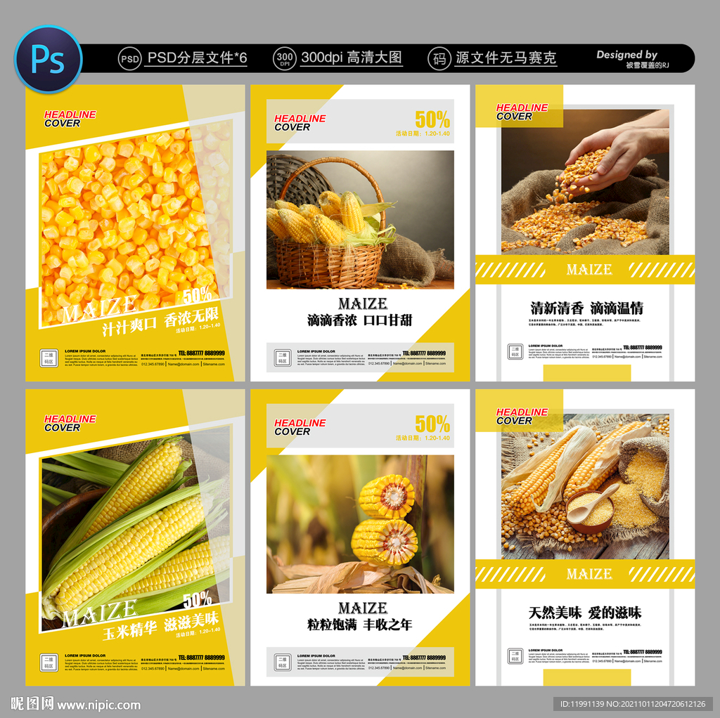 玉米种子