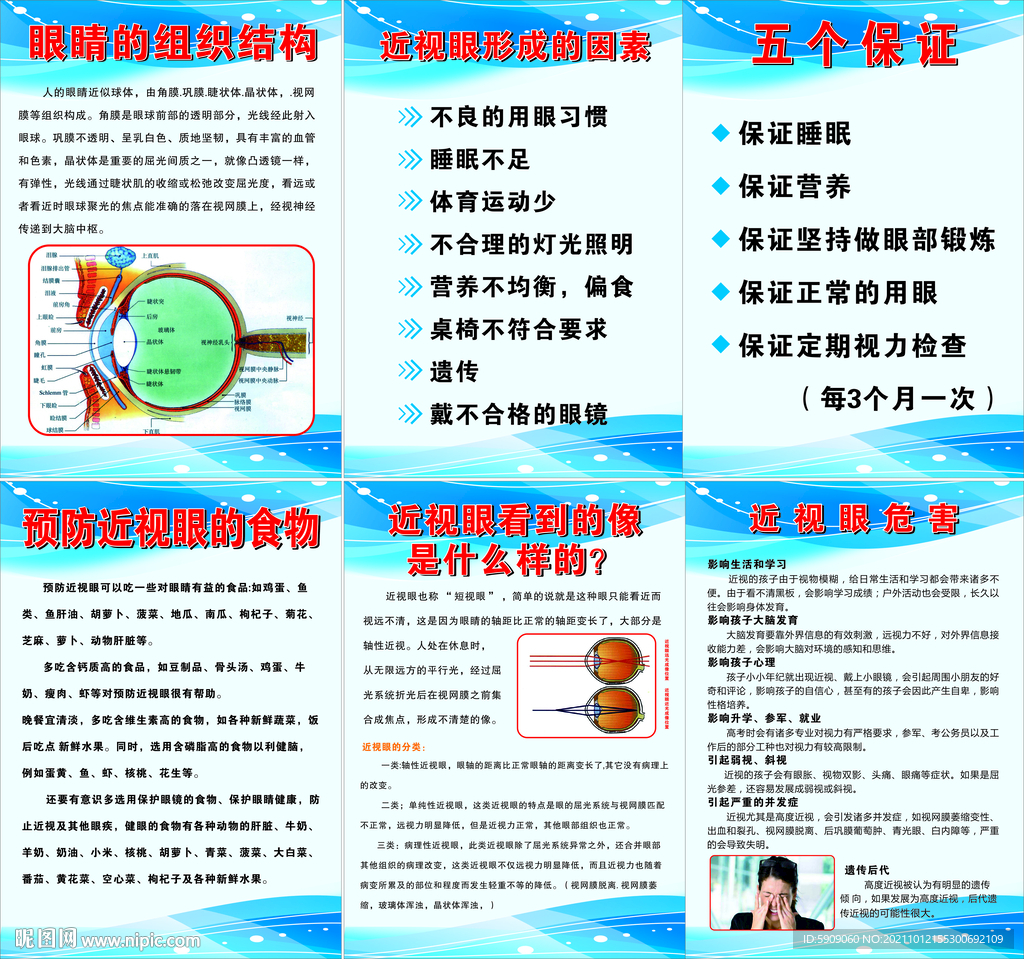眼睛的结构