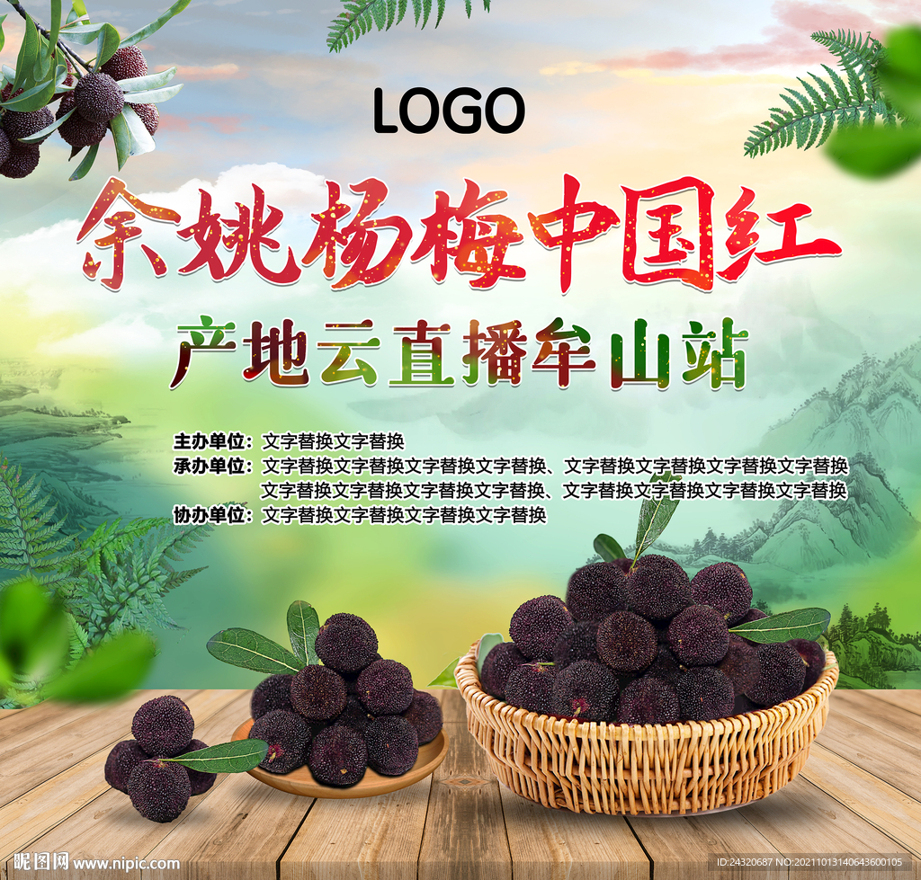 余姚杨梅直播背景