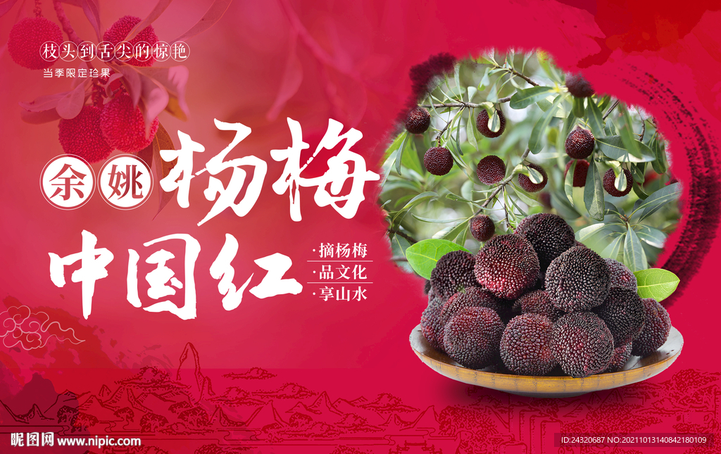 杨梅直播背景