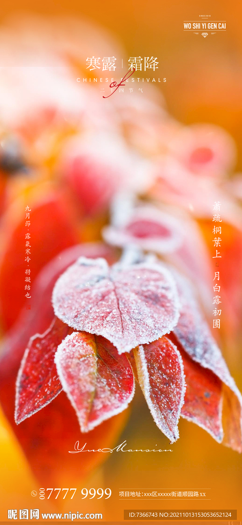  寒露  霜降