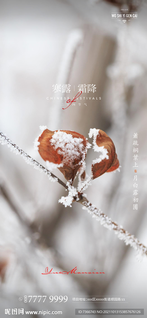  霜降 