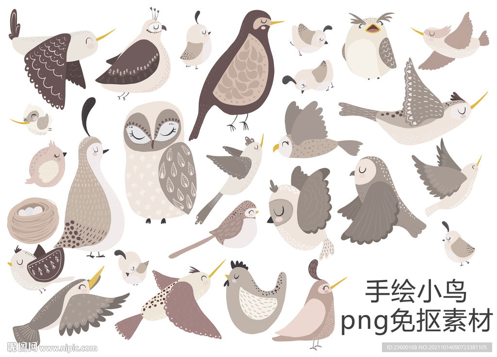 手绘小鸟