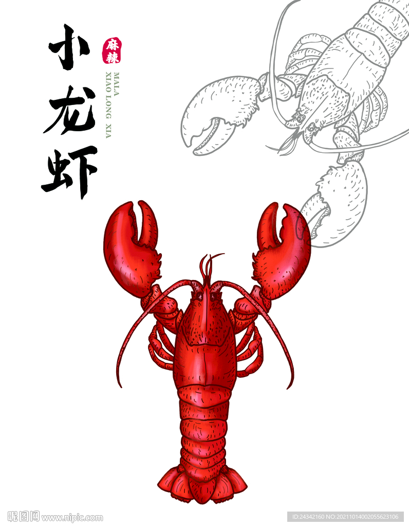 手绘龙虾