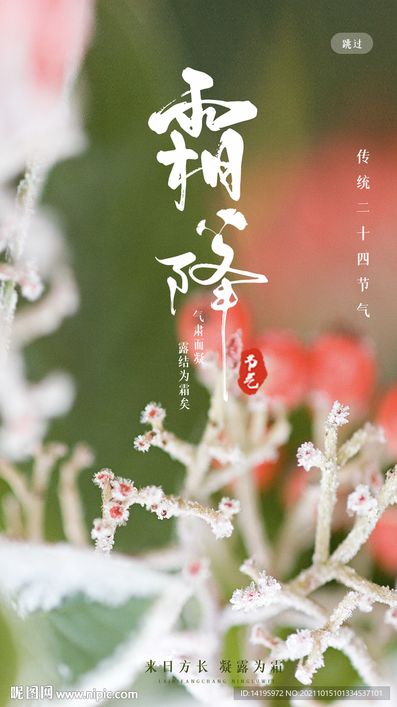 霜降海报启动页
