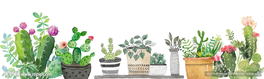 装饰画 盘栽 植物