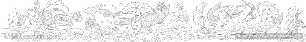 荷花鱼