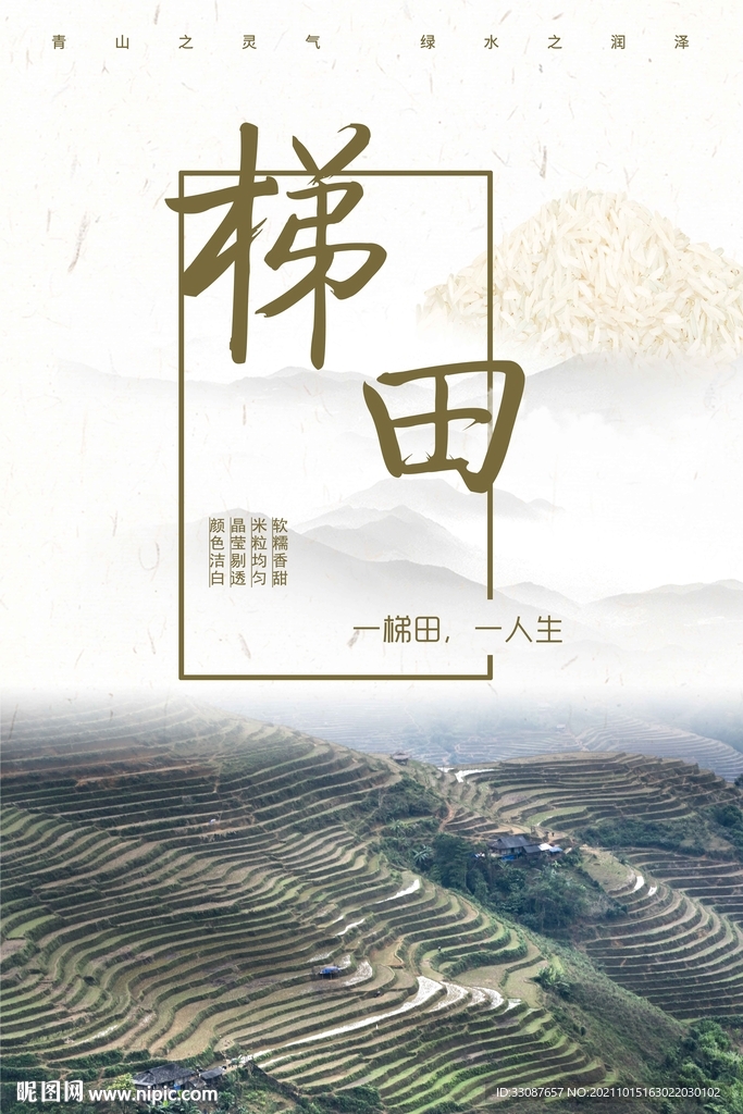 梯田