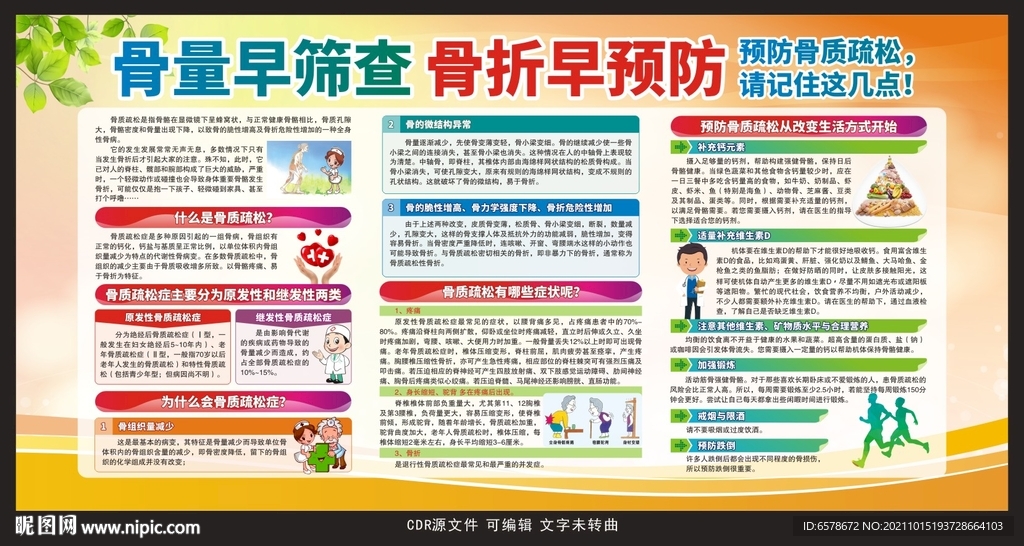 世界骨质疏松日宣传栏