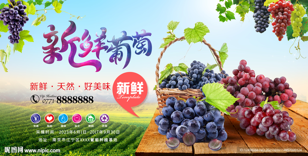 新鲜葡萄