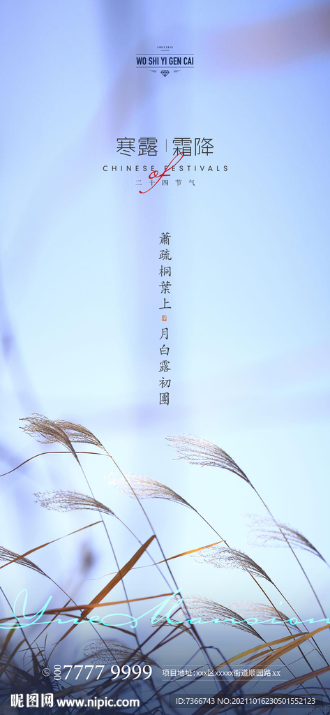 寒露 