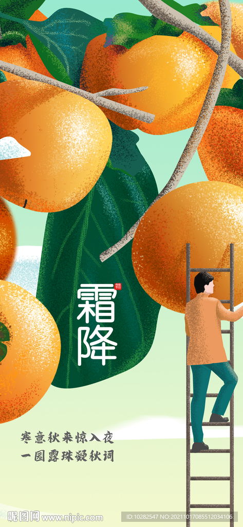 霜降贴片