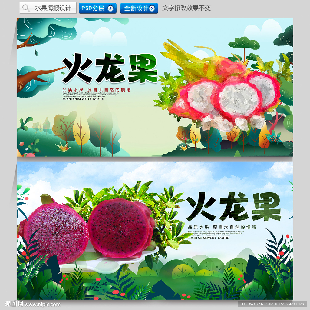 火龙果